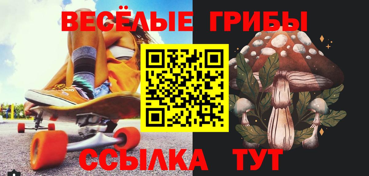 Псилоцибиновые грибы Psilocybe Котлас